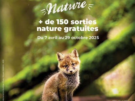 Morbihan Grandeur Nature - De la pomme au jus