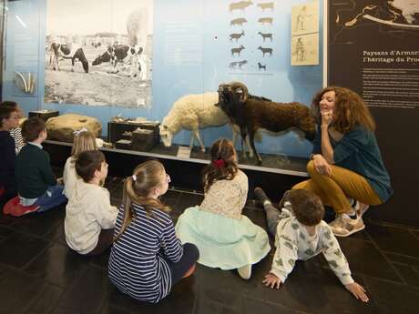 Visite contée à petits pas