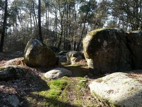 Les mégalithes du bois du Brétin