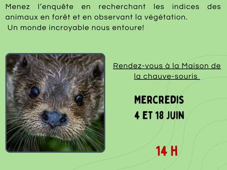 Naturalistes en herbe !
