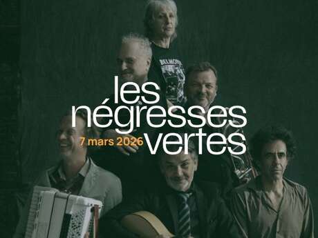 Concert Les Négresses Vertes