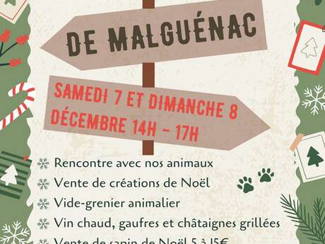 Noël du refuge de Malguénac