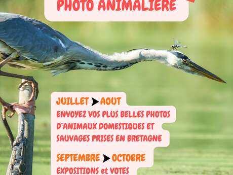 Objectif photo animalière