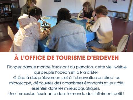 Atelier - Observation du plancton