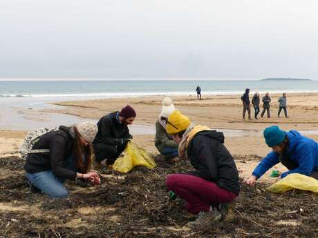 Nettoyage de plage à Kerhillio - Erdeven
