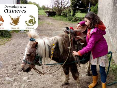 Atelier Equimotricité