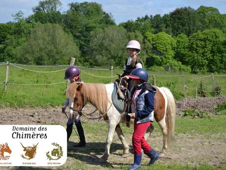 Balades en main à poney