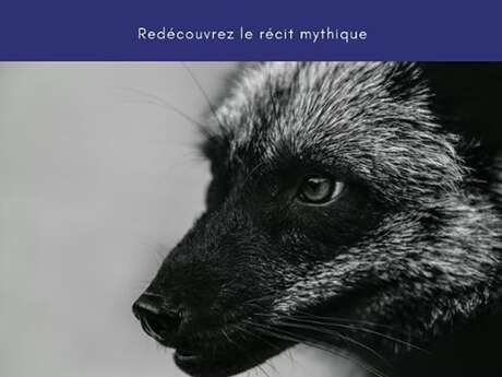 Roman de Renart, spectacle solo