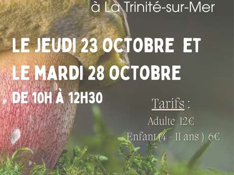 Sortie découverte des champignons