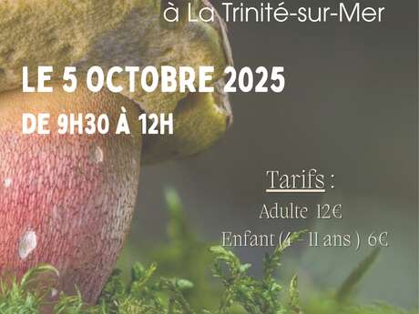 Sortie découverte des champignons