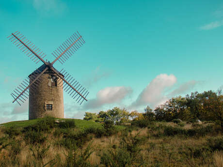 Boucle vélo de Saint-Jacut-les-Pins n°14