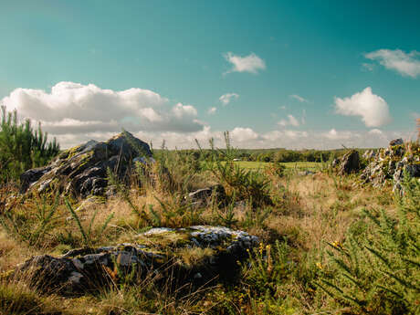 Saint-Jacut-les-Pins