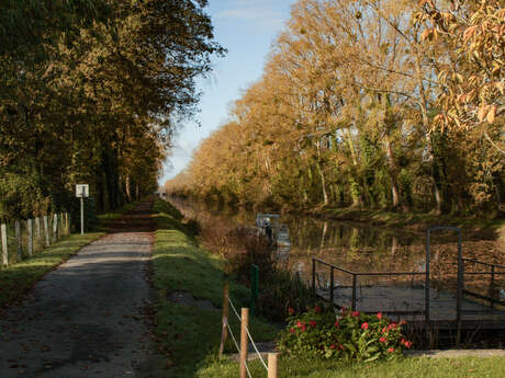 Boucle vélo de St Vincent sur Oust n°12