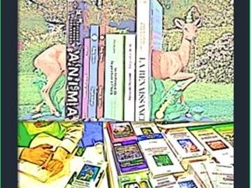 Festival Culturel & Joyeux - Salon du livre