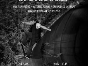 Stages de skate