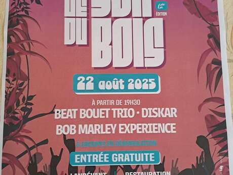 Concert Son du bois
