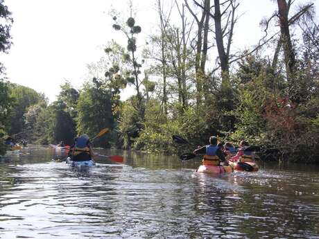 "Kayak et nature dans le marais"