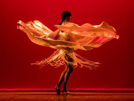 Spectacle de danses orientales - Nuit d'Orient