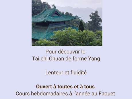 Mini stage de Tai Chi Chuan