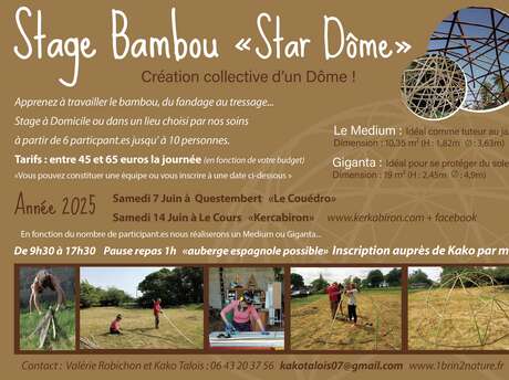 Stage Bambou "Star Dôme"