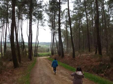 Circuit des Landes de Béganne