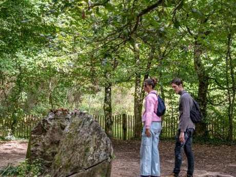 Balade ludique - Nature en ville : une expédition à vivre en famille
