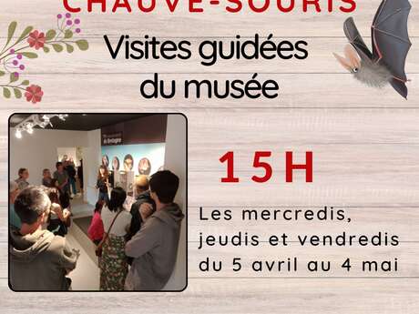 Visite guidée de la Maison de la chauve-souris