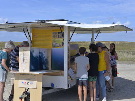 La Voyageuse des Dunes Sauvages