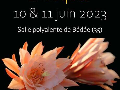 Salon des plantes exotiques - Bédée