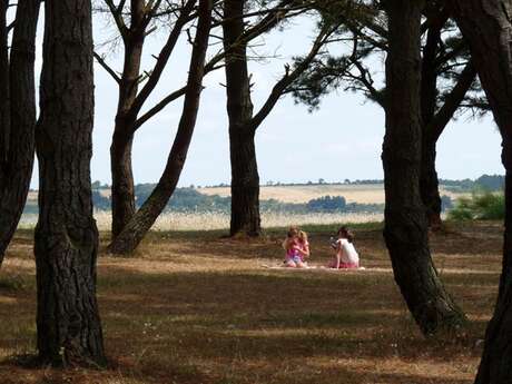 Plage du Branzais