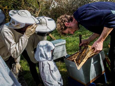 LE RUCHER DE L'ABEILLE NOIRE