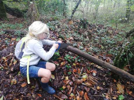 Animation en forêt pour les 7-10 ans