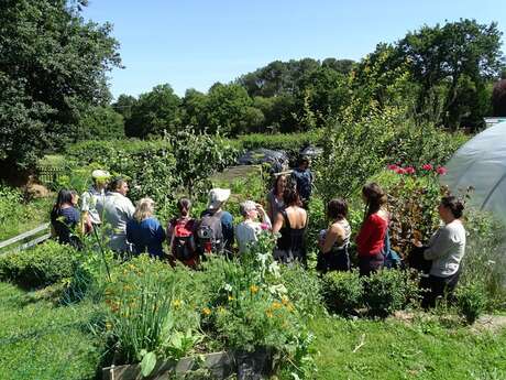 Bienvenue dans mon jardin au naturel - le jardin du Grand Valet