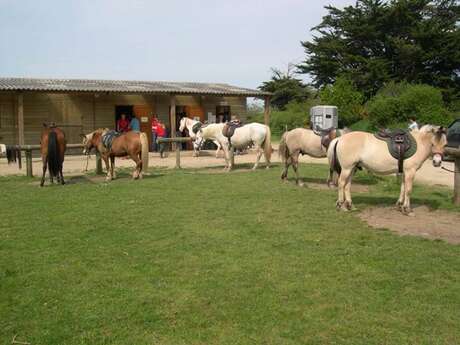 Centre de Tourisme Equestre Les Highlands