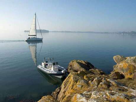 Balade en semi-rigide dans le Golfe du Morbihan