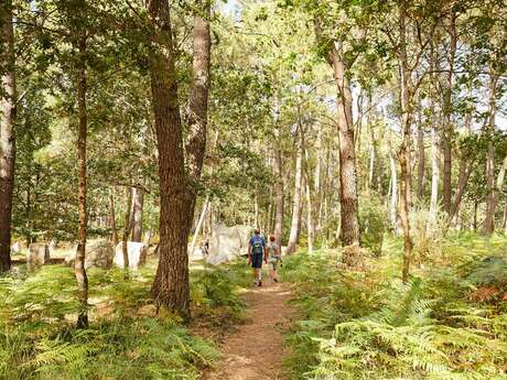 Erdeven - Circuit VTT - Entre mer et forêt