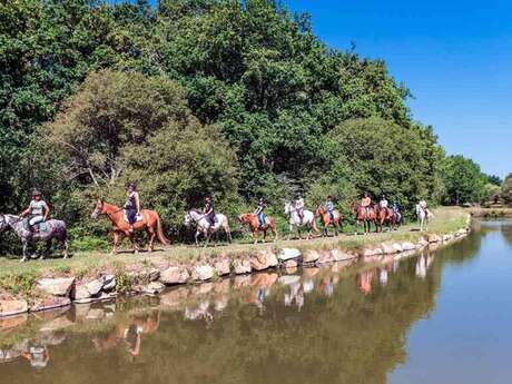 Séminaire journée au Camping de Mané Guernehué : Faites le plein d'énergies positives dans le Golfe du Morbihan