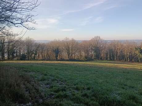 Les Oiseaux en hiver