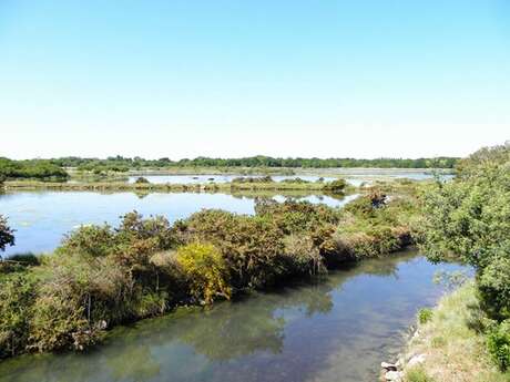 Les Marais de Pen en Toul