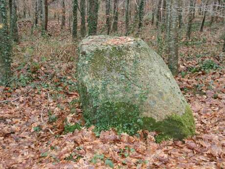 Menhir L’armoirie