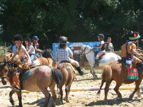 Kerguélen Equitation