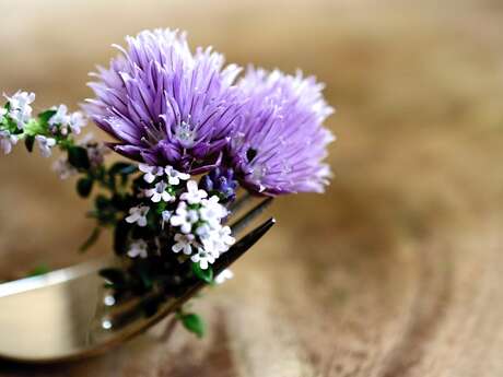 Atelier découverte des fleurs et des curiosités coméstibles