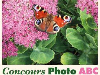 Concours photo ABC - Biodiversité