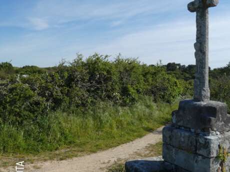 Carnac - Circuit de Cloucarnac