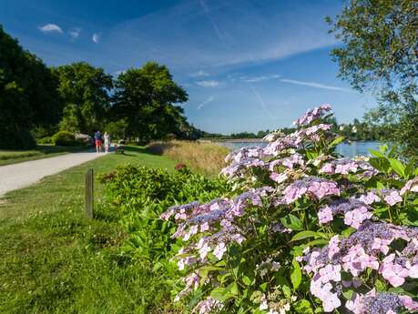 Circuit du diable au paradis des hortensias (n°17)