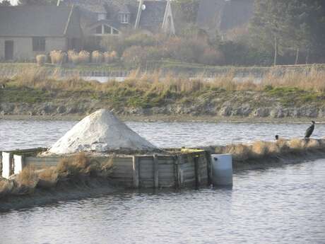 Les Marais Salants