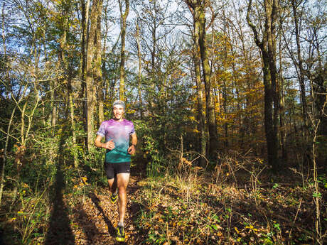 Pas du Houx - Trail