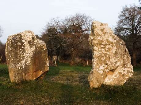 Dolmen de Crucuno