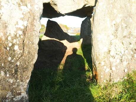 Dolmen du Moulin des Oies