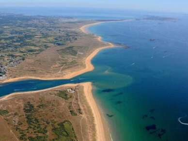 Entre ciel et dunes : sortie ornithologique à Etel